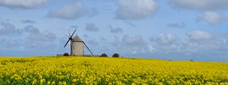 France, the Moidrey windmill in Pontorson in Normandieの写真素材
