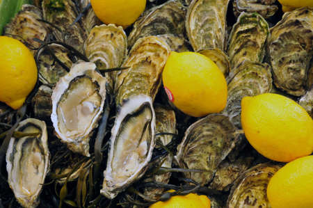 France, the picturesque market of Pornichet in Loire Atlantique の写真素材