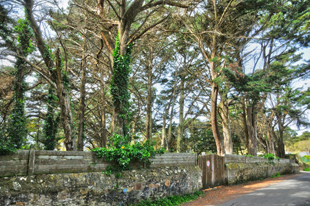 France, small path in Saint Marc sur Mer in  Loire Atlantiqueの写真素材