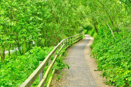 Ile de France, the picturesque city of Les Mureaux の写真素材