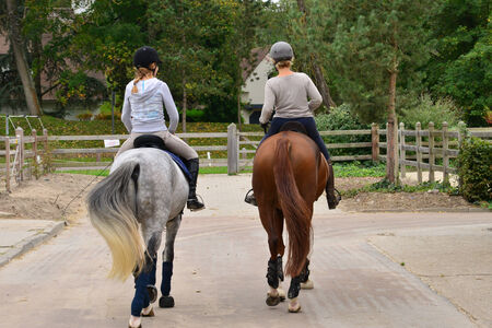 France, the equestrian center of Le Touquet in Nordのeditorial素材