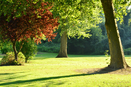 Ile de France, a garden in Triel sur Seineの写真素材
