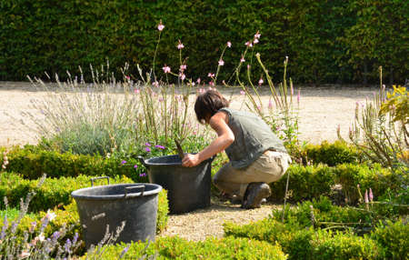 France, gardener in the parc of Versailles Palaceのeditorial素材
