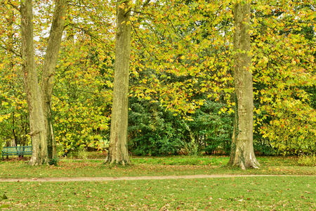 France, the Marie Antoinette estate in the parc of Versailles Palaceのeditorial素材