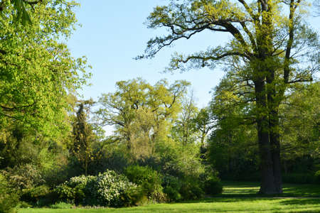Ile de France, the picturesque castle park of Saint Germain en Layeの写真素材