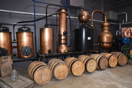 Nuits Saint Georges, the Cassissium museum in Cote d Orのeditorial素材