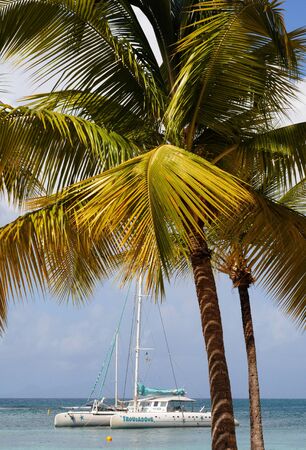 France, seaside of Sainte Anne in Guadeloupeの写真素材