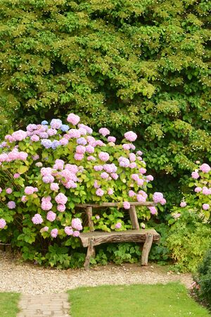 France, the picturesque vegetable garden in the castle of Miromesnil in Tourville sur Arquesの写真素材