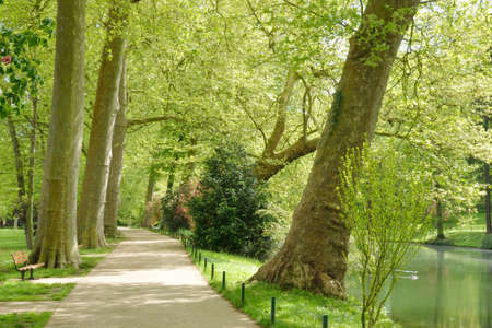 Ile de France, the picturesque Messonier park in the city of Poissyの写真素材