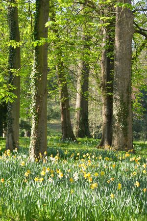 Ile de France, the picturesque Messonier park of Poissyのeditorial素材