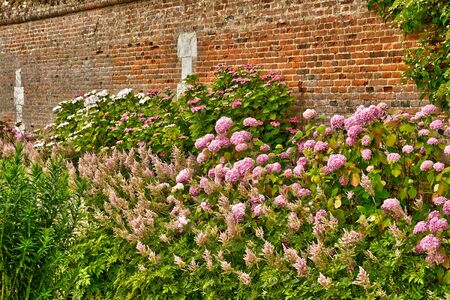 France, the picturesque vegetable garden in the castle of Miromesnil in Tourville sur Arquesのeditorial素材