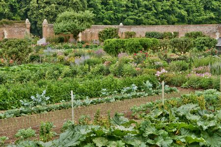 France, the picturesque vegetable garden in the castle of Miromesnil in Tourville sur Arquesのeditorial素材