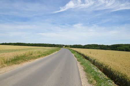 Ile de France, the picturesque village of Herouvilleのeditorial素材