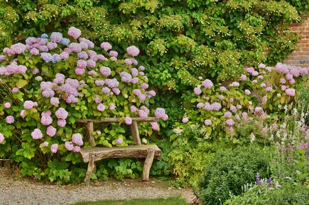 France, the picturesque vegetable garden in the castle of Miromesnil in Tourville sur Arquesのeditorial素材