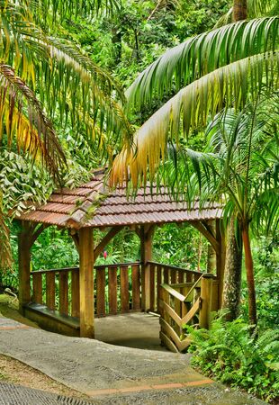 France, Martinique, the picturesque garden of Balataの写真素材