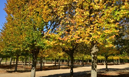 Ile de France, the Grand Trianon garden in the parc of Versailles Palaceのeditorial素材