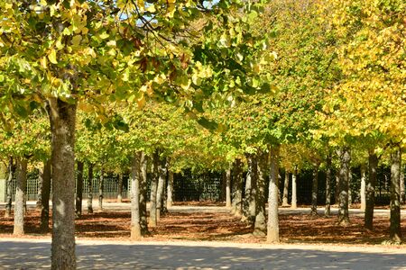Ile de France, the Grand Trianon garden in the parc of Versailles Palaceのeditorial素材