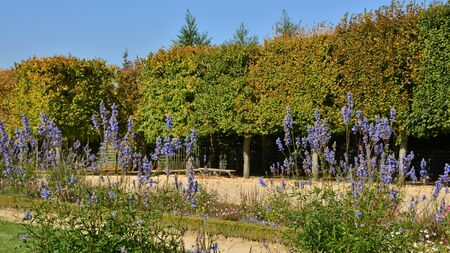 Ile de France, the Grand Trianon garden in the parc of Versailles Palaceのeditorial素材