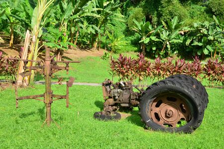 Martinique, the banana museum of Sainte Marie in West Indiesのeditorial素材