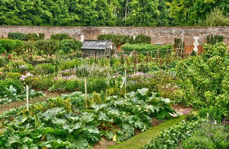 France, the picturesque vegetable garden in the castle of Miromesnil in Tourville sur Arquesのeditorial素材