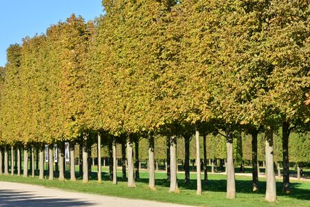 Ile de France, the park of the castle of Saint Germain en Layeのeditorial素材
