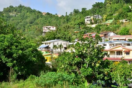 Martinique, the picturesque city of Riviere Pilote in West Indiesの写真素材