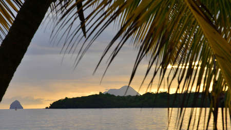 Martinique, the picturesque city of Sainte Anne at sunset in West Indiesの写真素材
