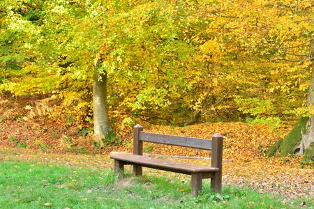 France, the picturesque forest of Lyons la Foretの写真素材