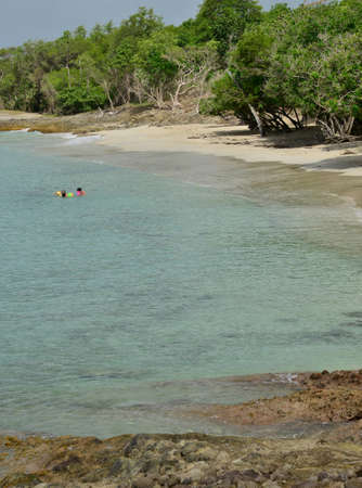 Martinique, the picturesque city of Sainte Luce in West Indiesの写真素材