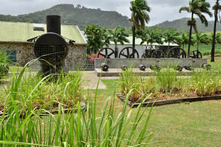 Martinique, the park of picturesque Habitation Clement in Le Francois in West Indiesの写真素材