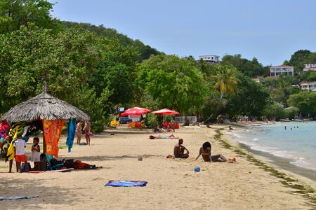 Martinique, the picturesque seaside of Sainte Anne in West Indiesのeditorial素材