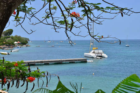 Martinique, the picturesque seaside of Sainte Anne in West Indiesのeditorial素材