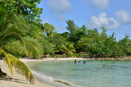 Martinique, the picturesque seaside of Pointe Figuier of Riviere Pilote in West Indiesのeditorial素材