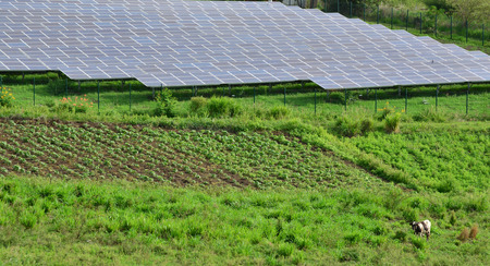 Martinique, photovoltaic panel in Bellefontaine countryside in West Indies