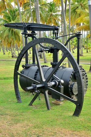 Martinique, a picturesque park in the city of Sainte Anne in West Indies
