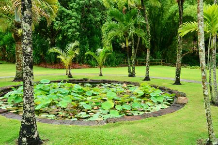 picturesque Martinique zoo in Le Carbet in West Indiesのeditorial素材