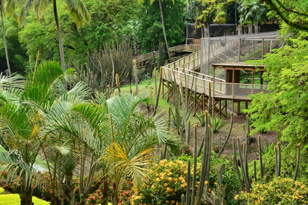 picturesque Martinique zoo in Le Carbet in West Indiesのeditorial素材