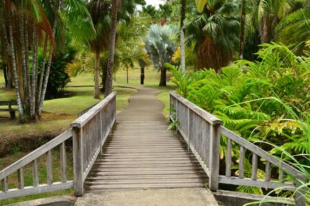 Martinique, the park of picturesque Habitation Clement in Le Francois in West Indiesの写真素材