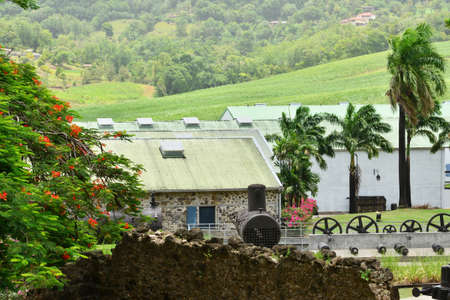 Martinique, the park of picturesque Habitation Clement in Le Francois in West Indiesのeditorial素材