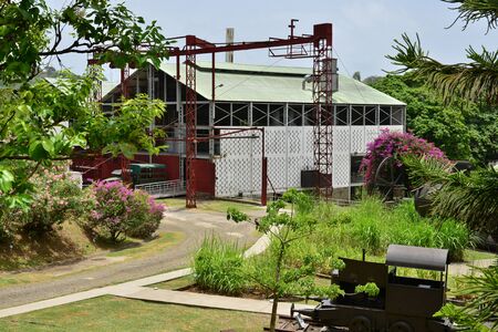 Martinique, the park of picturesque Habitation Clement in Le Francois in West Indiesの写真素材