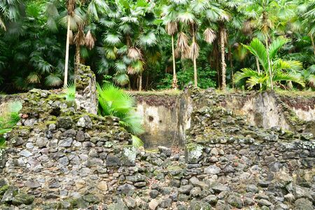 picturesque Martinique zoo in Le Carbet in West Indiesの写真素材