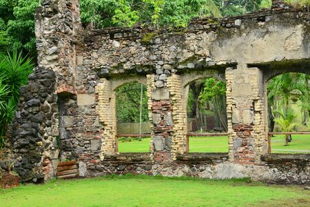 picturesque Martinique zoo in Le Carbet in West Indiesの写真素材