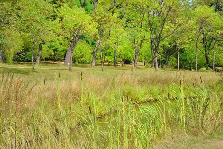 Versailles, France - august 19 2015 : the park in the Marie Antoinette estate in the parc of Versailles Palaceのeditorial素材