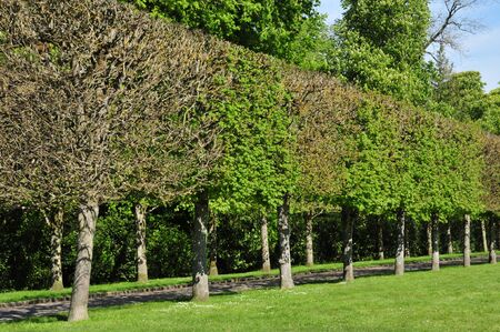 the castle park, Rambouillet, France