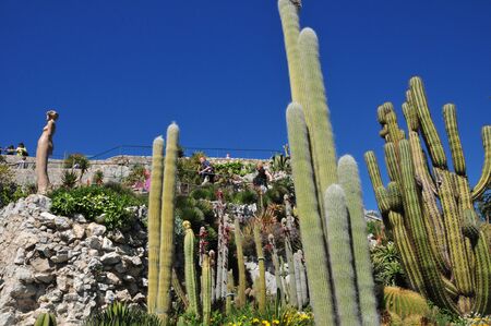 Eze, France - april 19 2016 : the botanical gardenのeditorial素材