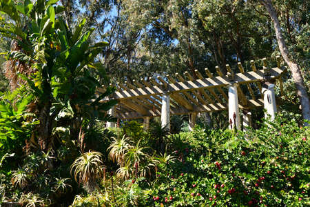the estate Rayol garden in spring, Rayol Canadel sur Mer, Franceの写真素材