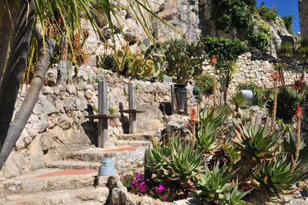 the botanical garden, Eze, France