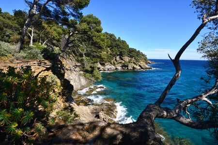 Rayol Canadel sur Mer  the estate Rayol garden in springの写真素材
