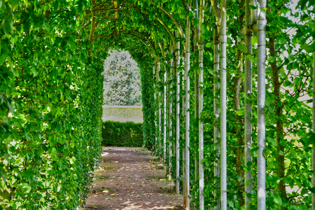 Saint Martin de Boscherville, France - june 22 2016 : the Saint Georges abbey garden in Seine Maritimeのeditorial素材