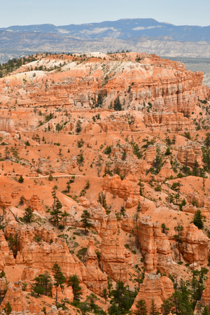 Bryce Canyon, USA - july 9 2016 : the National Parkのeditorial素材